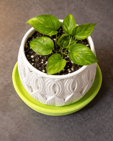 HOMESY - ghiveci decorativ printat 3D SALIR