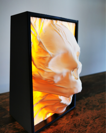 Book Nook Behind the Veil – mini dioramă decorativă cu LED [3]