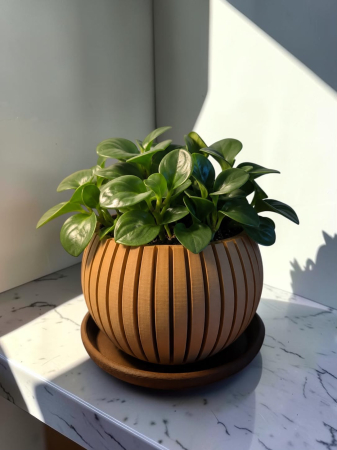 Ghiveci pentru plante cu farfurioară Nimbus