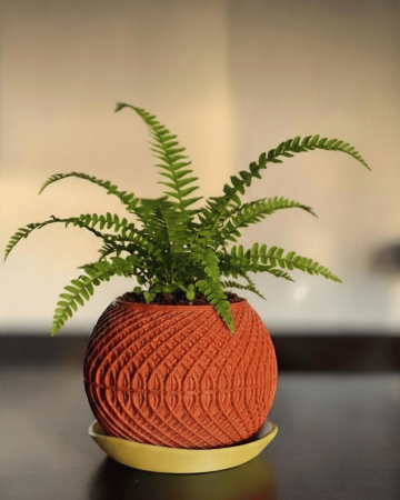 Categorii produse - ghiveci decorativ printat 3D KINETIC