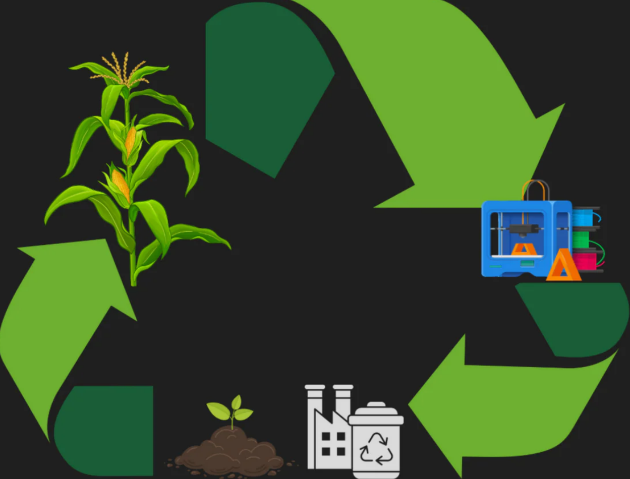PLA vs PETG: Ce înseamnă cu adevărat biodegradabil și compostabil în imprimarea 3D