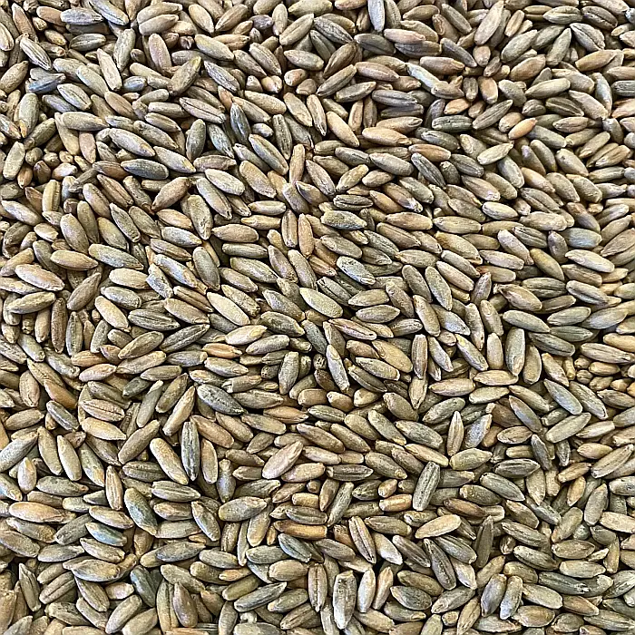 Făină integrală ecologică Secară - 1 kg [2]