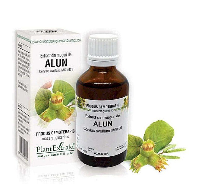 Extract din muguri de Alun - Corylus avellana MG=D1, 50 ml [1]