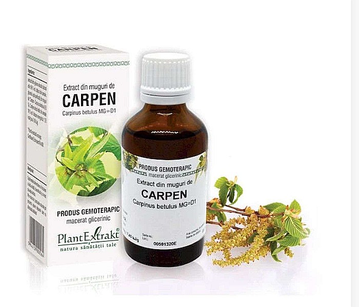 Extract din muguri de Carpen - Carpinus betulus MG=D1, 50 ml [1]