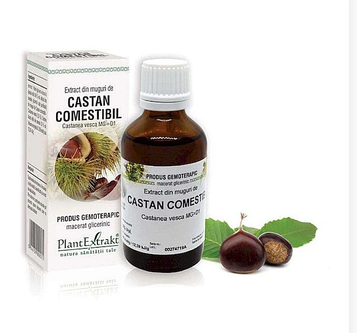 Extract din muguri de Castan comestibil - Castanea vesca MG=D1, 50 ml [1]