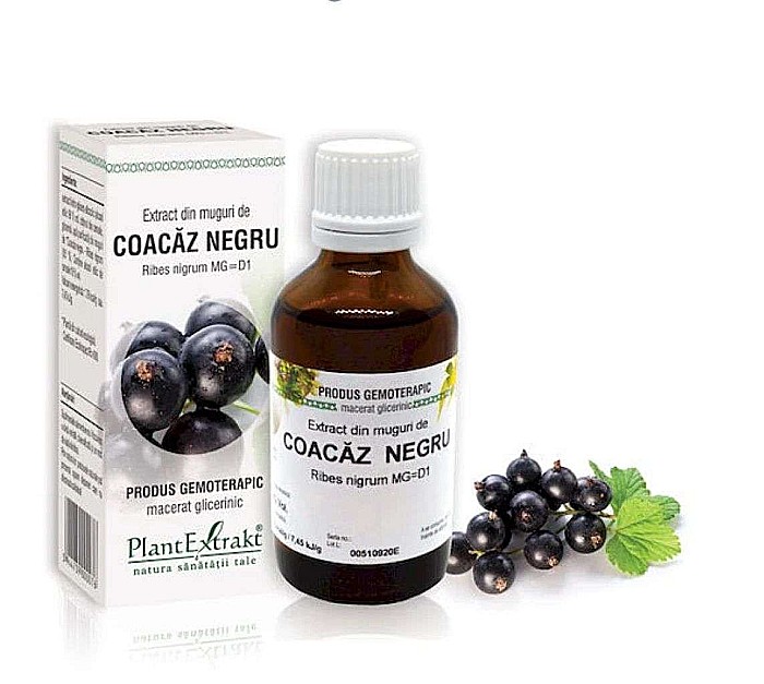 Extract din muguri de Coacăz negru - Ribes nigrum, 50 ml [1]