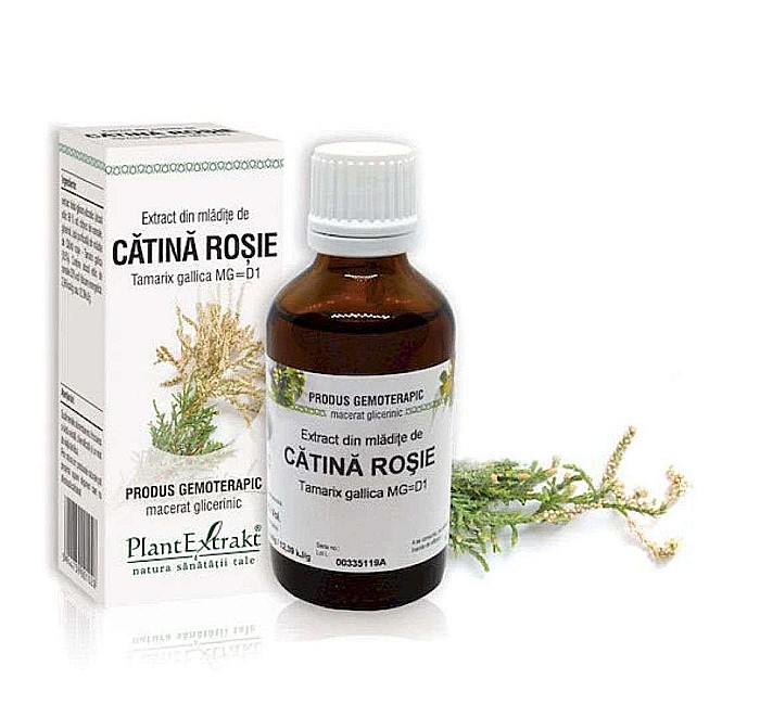 Extract din mlădiţe de Cătină roșie - Tamarix gallica MG=D1, 50 ml [1]