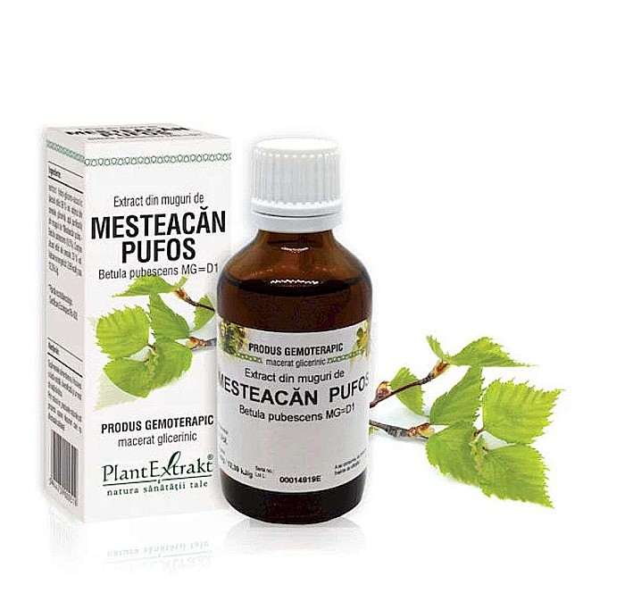 Extract din muguri de Mesteacăn pufos - Betula pubescens, 50 ml [1]