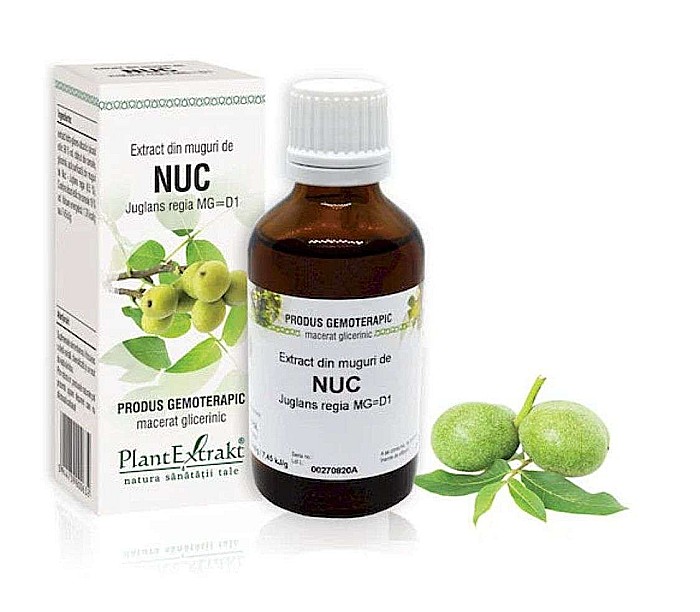 Extract din muguri de Nuc - Juglans regia MG=D1, 50 ml [1]