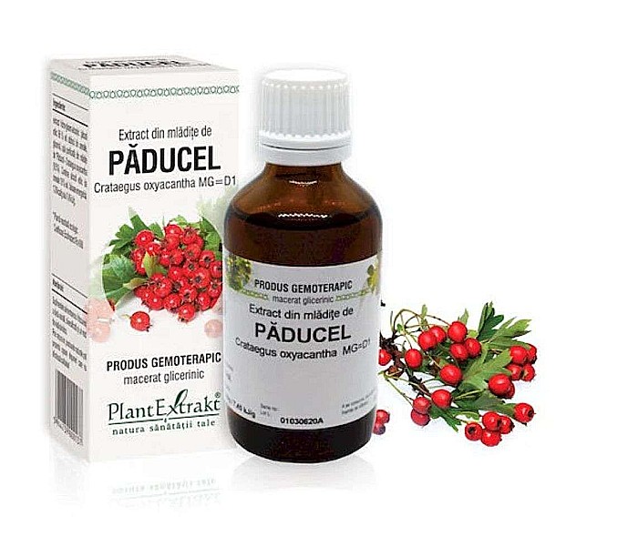 Extract din mlădiţe de Păducel - Crataegus oxyacantha MG=D1, 50 ml [1]