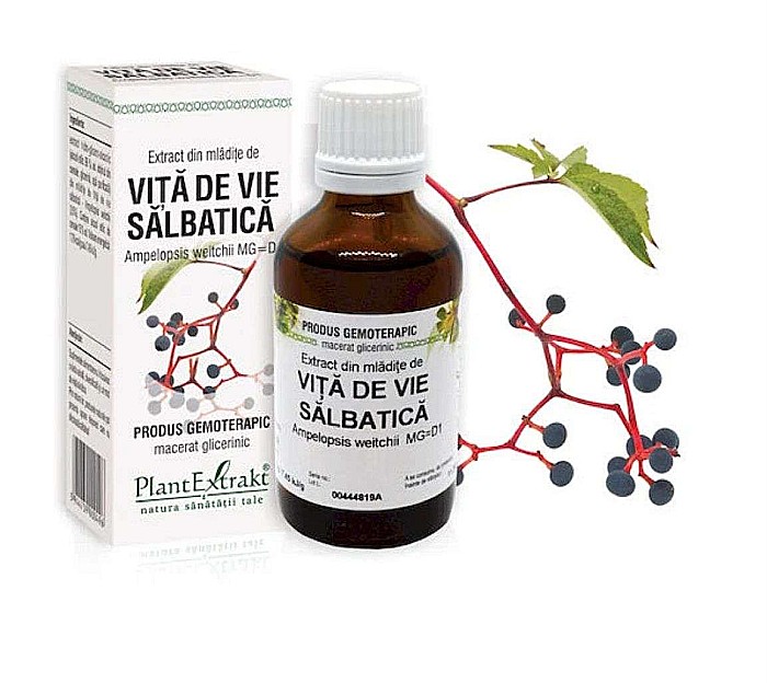 Extract din mlădiţe de Viță de vie sălbatică - Ampelopsis weitchii MG=D1, 50 ml [1]