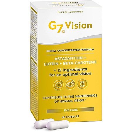 Vederea și auzul - G7 Vision