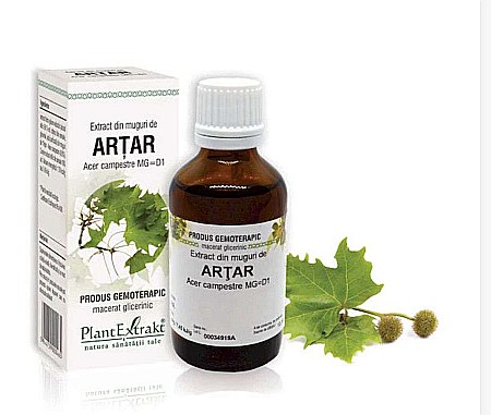 Circulație - Extract din muguri de Arțar - Acer campestre MG=D1, 50 ml