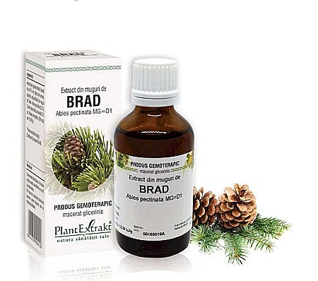 Tractul respirator - Extract din muguri de Brad - Abies pectinata, 50 ml