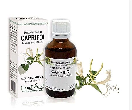 Tractul respirator - Extract din mlădiţe de Caprifoi negru - Lonicera nigra MG=D1, 50 ml