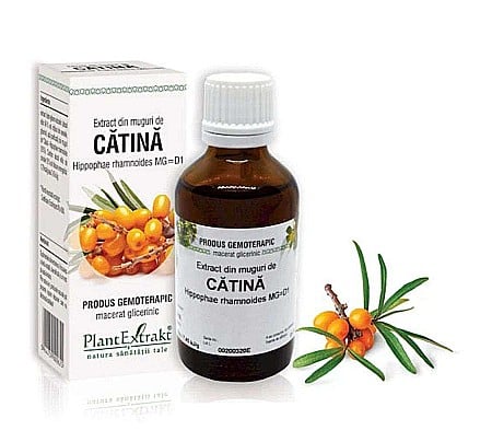 Tractul respirator - Extract din muguri de Cătină albă - Hippophae rhamnoides MG=D1, 50 ml
