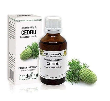 Fitoterapie - Extract din mlădiţe de Cedru - Cedrus libani MG=D1, 50 ml