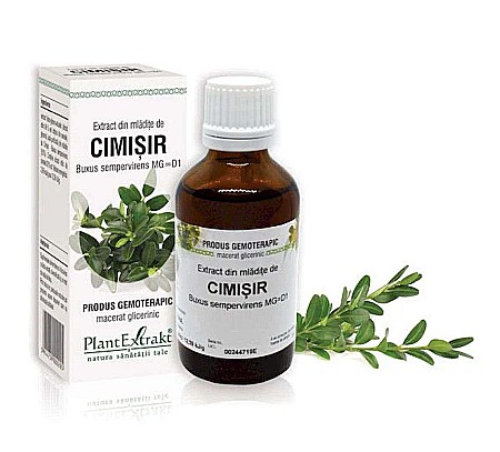 Fitoterapie - Extract din mlădiţe de Cimișir - Buxus sempervirens MG=D1, 50 ml