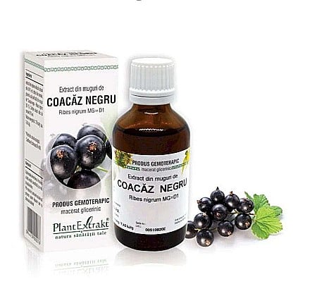 Tractul respirator - Extract din muguri de Coacăz negru - Ribes nigrum, 50 ml