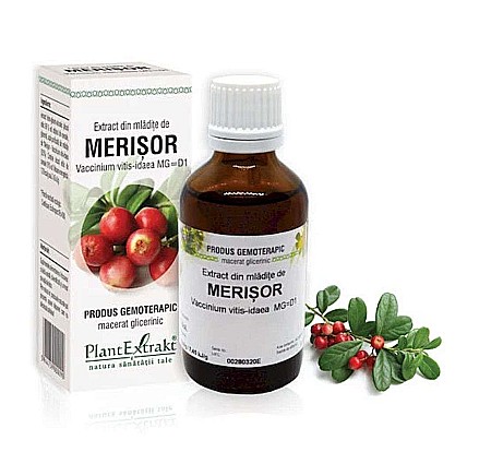 Articulații și oase - Extract din mlădiţe de Merișor - Vaccinium vitis idaea, 50 ml