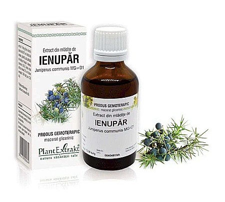 Digestie și tranzit - Extract din mlădiţe de Ienupăr - Juniperus communis MG=D1, 50 ml