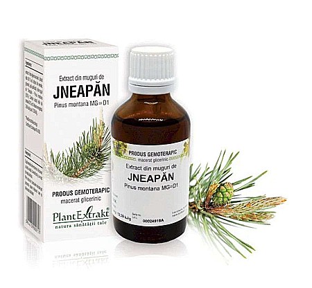 Articulații și oase - Extract din muguri de Jneapăn - Pinus montana MG=D1, 50 ml