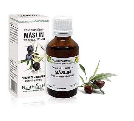 Circulație - Extract din mlădiţe de Măslin - Olea europaea, 50 ml