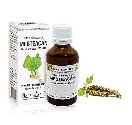 Vederea și auzul - Extract din muguri de Mesteacăn - Betula verrucosa MG=D1, 50 ml