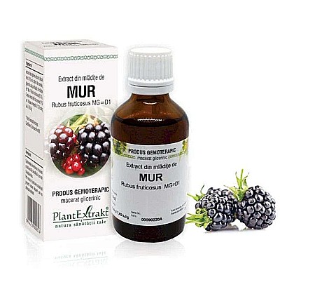 Tractul respirator - Extract din mlădiţe de Mur - Rubus fructicosus MG=D1, 50 ml