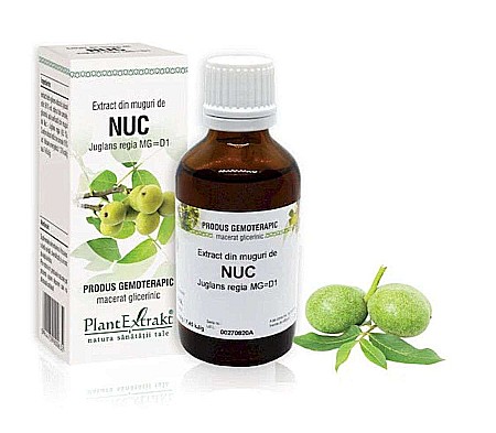 Tractul respirator - Extract din muguri de Nuc - Juglans regia MG=D1, 50 ml