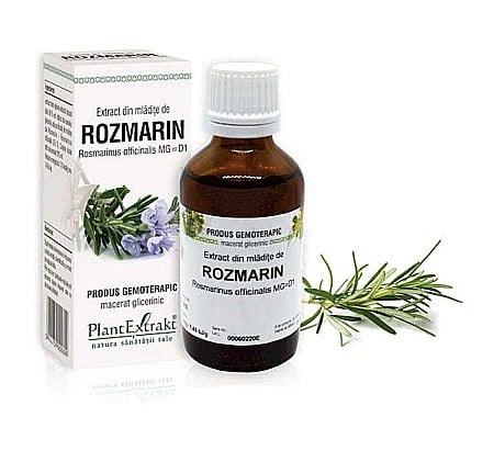 Digestie și tranzit - Extract din mlădiţe de Rozmarin - Rosmarinus officinalis, 50 ml