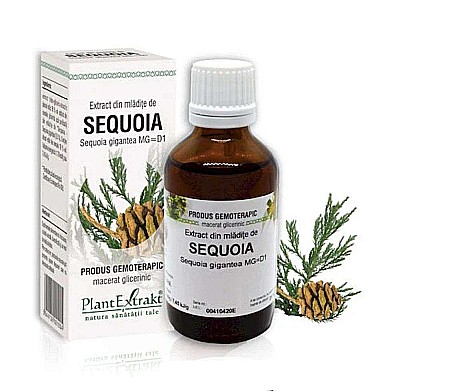 Articulații și oase - Extract din mlădiţe de Sequoia - Sequoia gigantea MG=D1, 50 ml