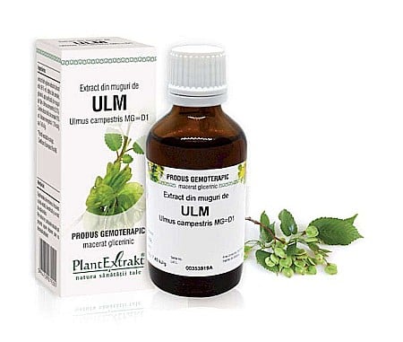 Vederea și auzul - Extract din muguri de Ulm - Ulmus campestris MG=D1, 50 ml