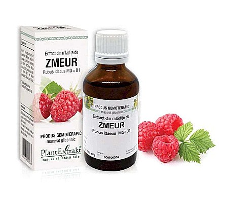 Tractul respirator - Extract din mlădiţe de Zmeur - Rubus idaeus, 50 ml
