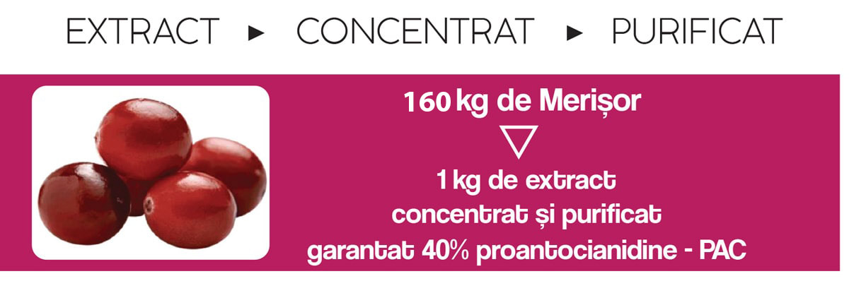 extracte standardizate