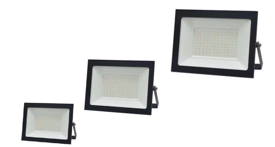Proiector LED NS-FL 30W [1]