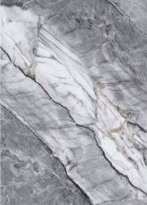 PANOURI DECORATIVE PREMIUM - SF-H12B Panou decorativ PET marble 2800*5*1220MM