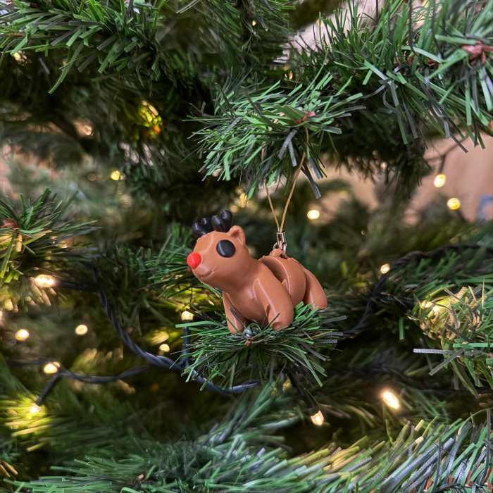 Ornament ren pentru bradul de Crăciun [2]