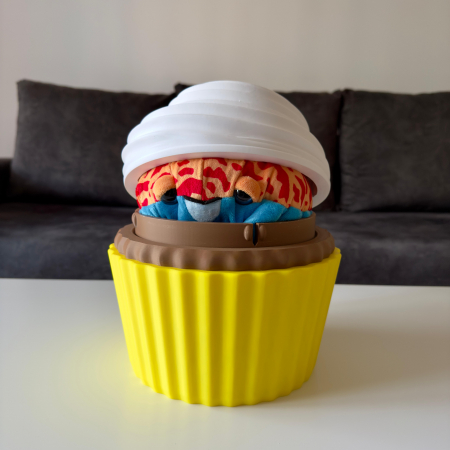 Decor & Organizare - BIRIOȘA