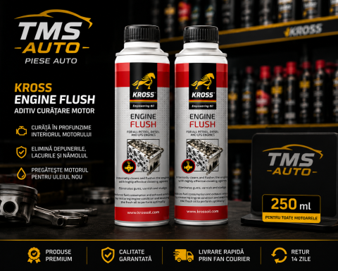 Aditivi - Aditiv curățare motor KROSS Engine Flush 250 ml