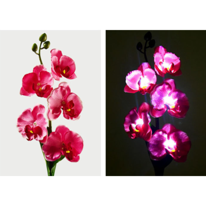 Set 2 Lampi Solare Orhidee Rosie – LED Gradina [5]