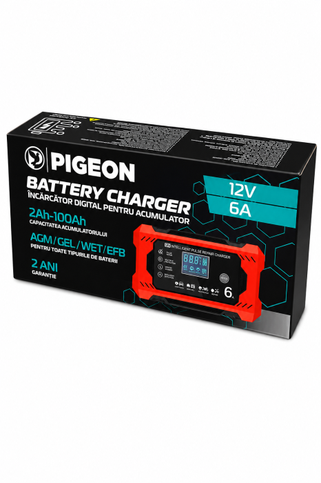 Incărcător pentru acumulatoare 12V 6A (ZR-22) [5]
