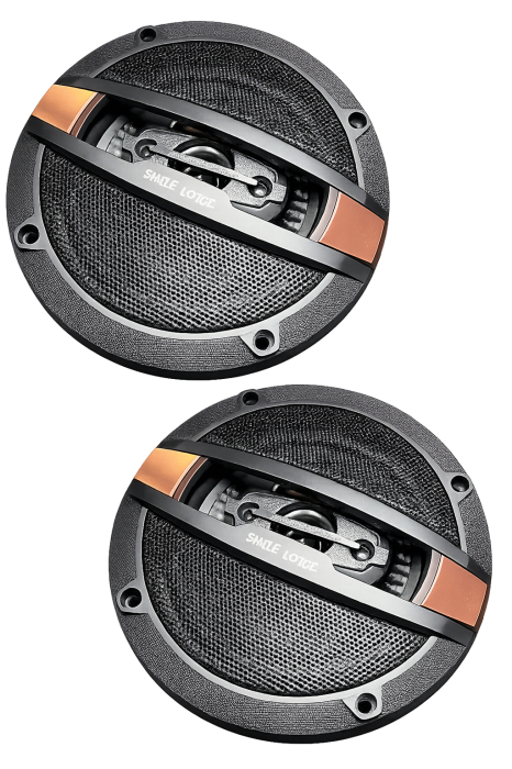 Set 2 Difuzoare Godiva TS9813 760W (13cm) [3]