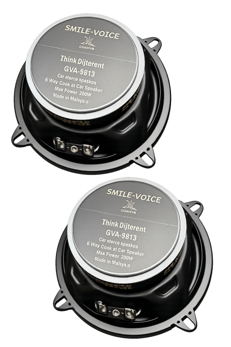 Set 2 Difuzoare Godiva TS9813 760W (13cm) [4]