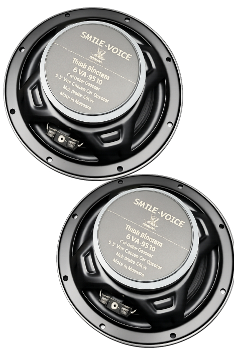 Set 2 Difuzoare Godiva TS9816 865W (16cm) [4]