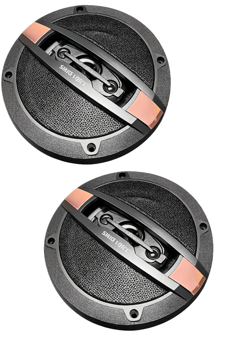 Set 2 Difuzoare Godiva TS9816 865W (16cm) [3]