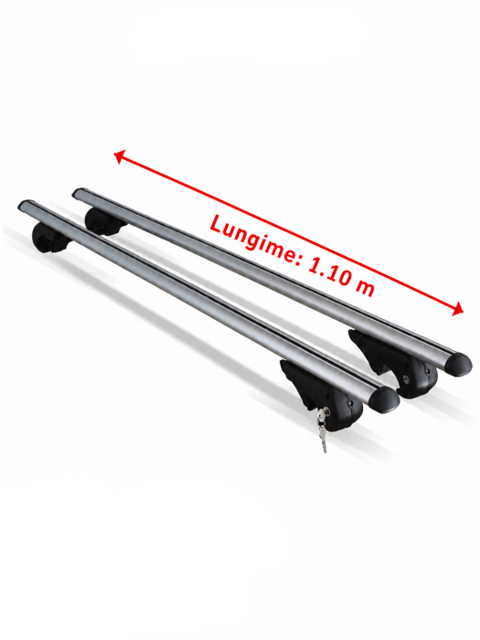 Set de 2 Bare pe acoperis (Railing) (SPO51) 1.10Metri [2]