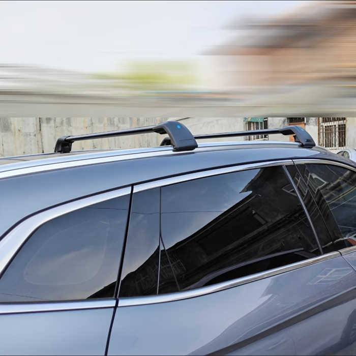 Set de 2 Bare pe acoperis (Railing) (SPO52) [6]