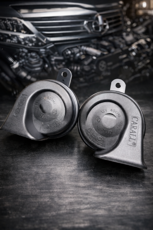 Claxoane - Set de 2 claxoane 12V (HORN)