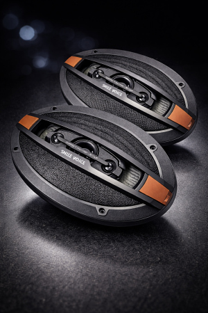 Difuzoare - Set 2 Difuzoare Godiva TSA9891 1160W (6x9inch)